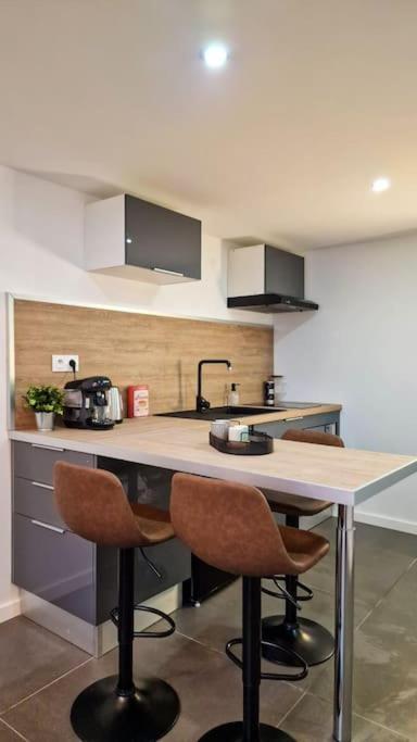 Apartament L'Atelier B Magnifique Loft Avec Terrasse Privee Saint-Etienne  Zewnętrze zdjęcie